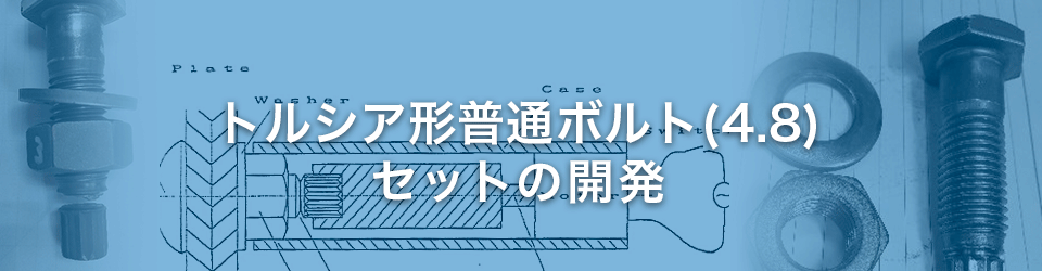 トルシア形普通ボルト(4.8)のセットの開発
